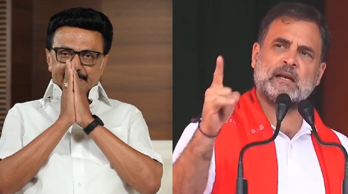 MK Stalin and Rahul Gandhi.